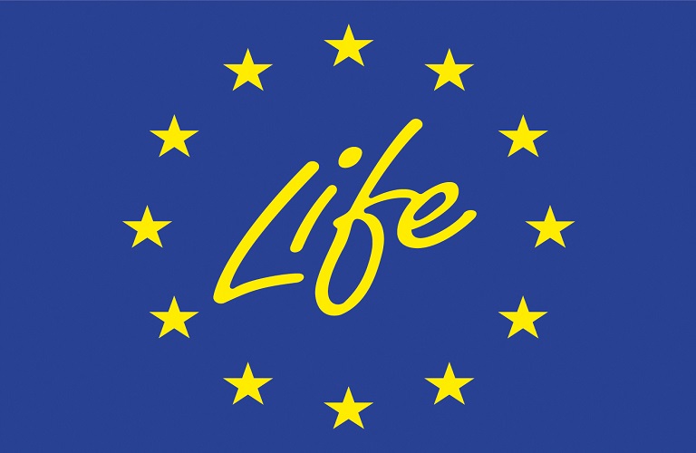 life.jpg (2)