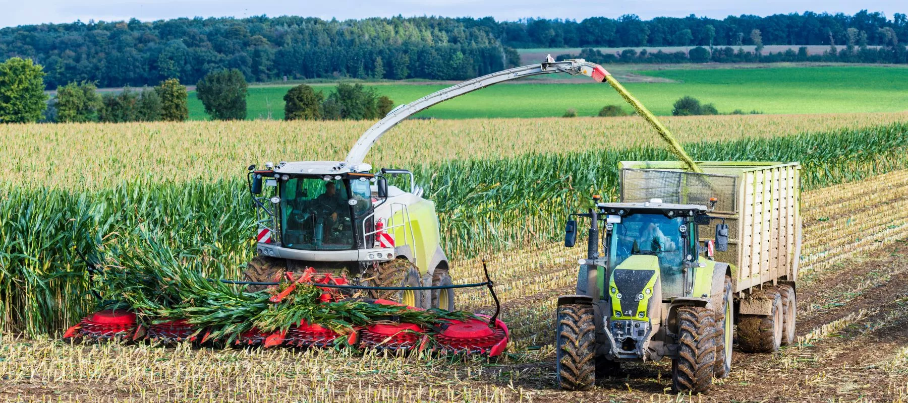 Agro Ensirvsh