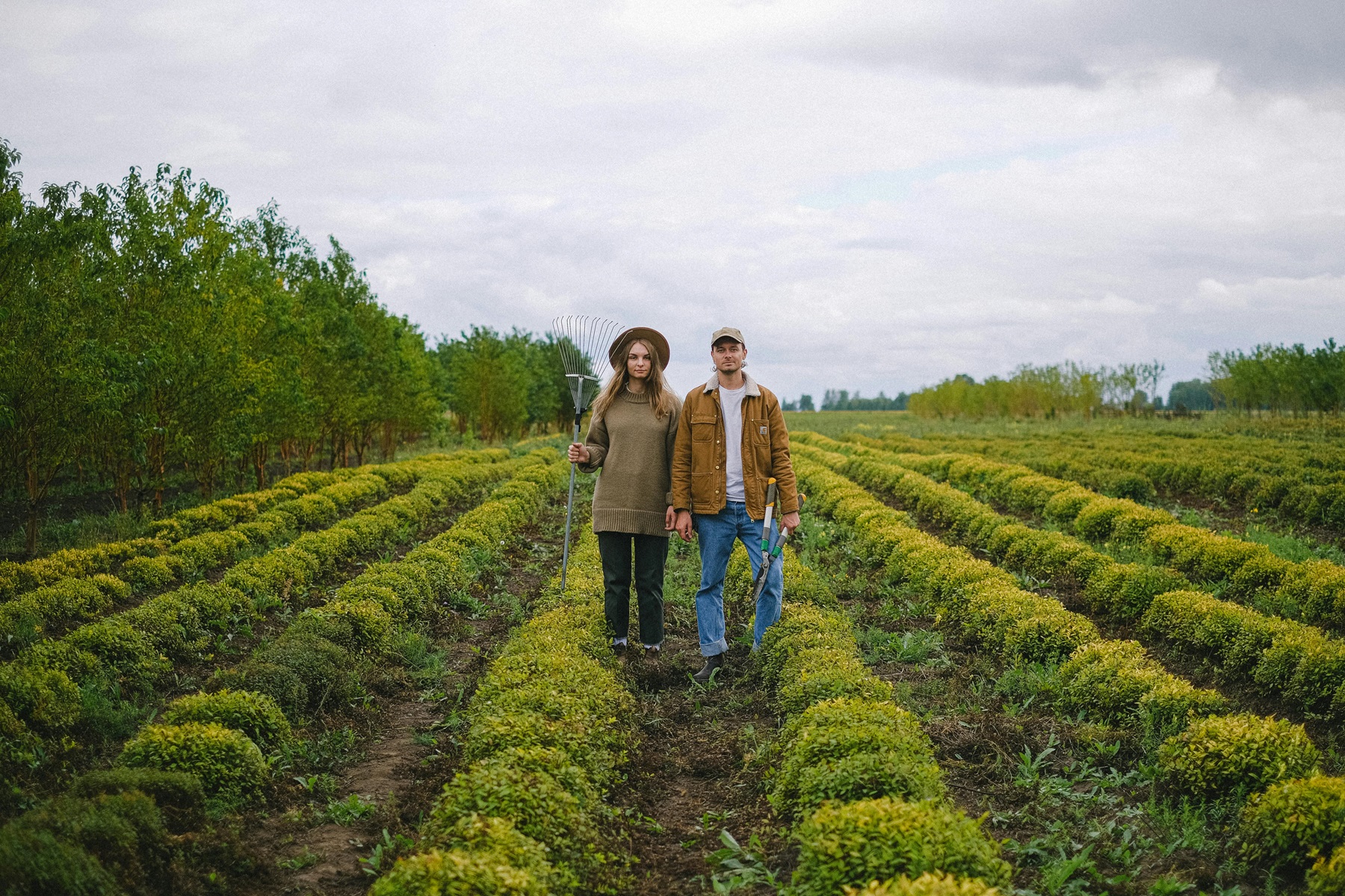 Agrotes (32)