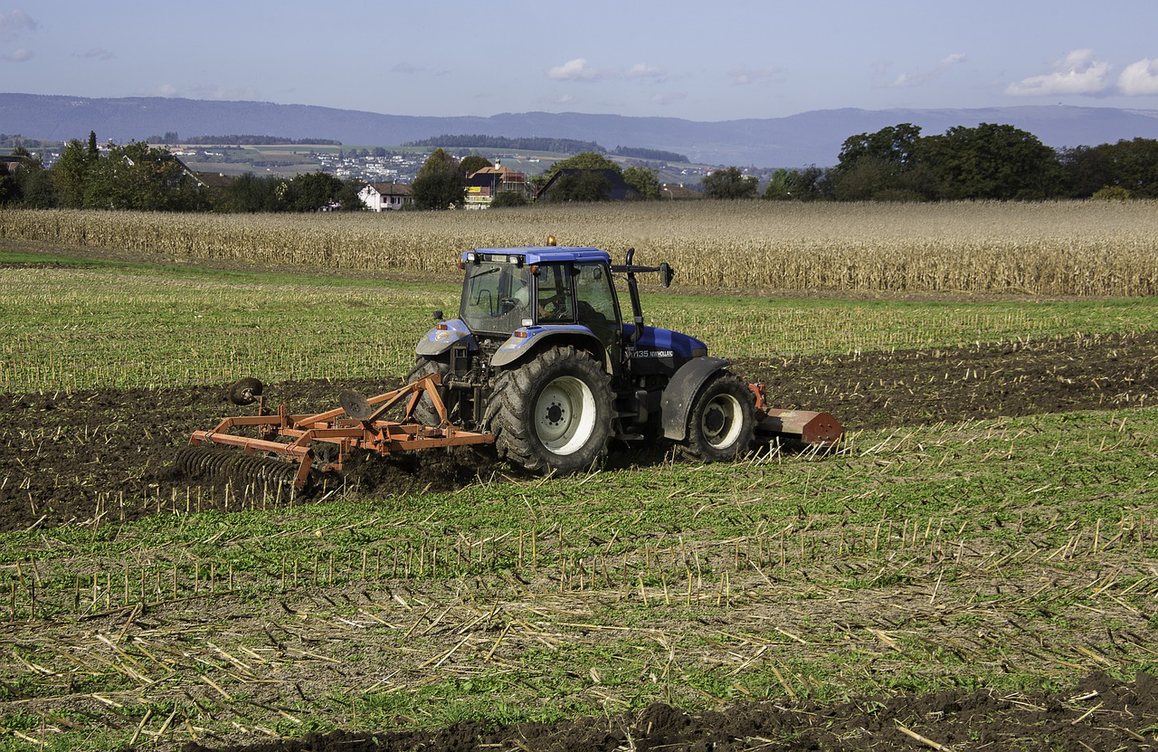 Agrotes (21)