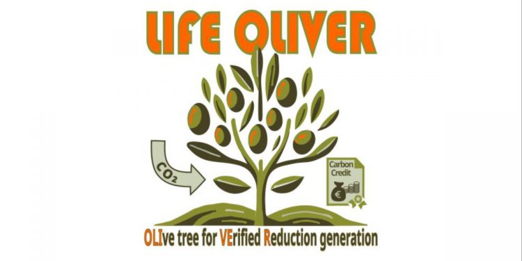 Life Oliver 750X375