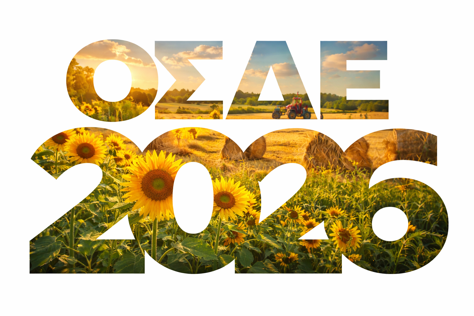 Osde 26 (6)