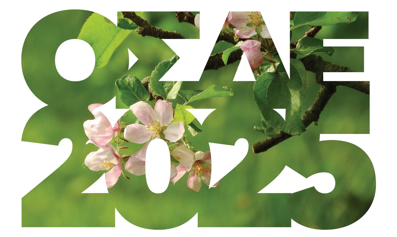 Osde 25 (2)