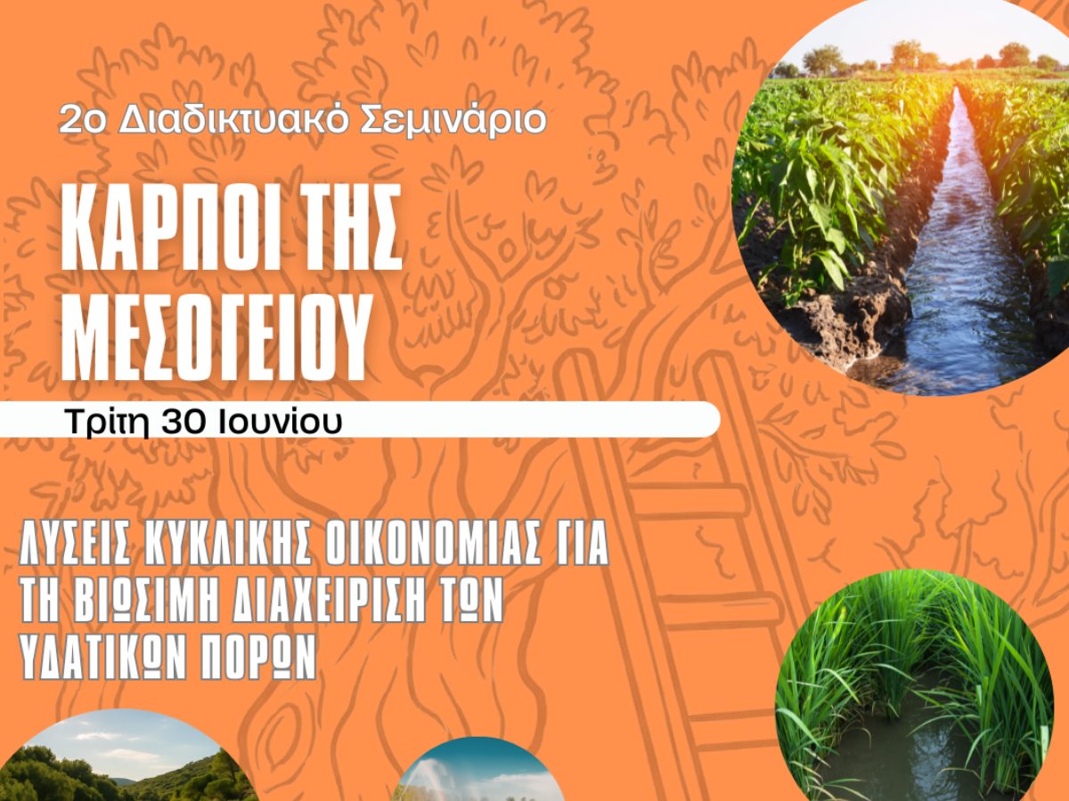 EDIT SEEDS OF THE MEDITERRANEAN EN IG 1 Rong6cvlbo24zvd0bn32jgn77jati26hnsxqel2alk