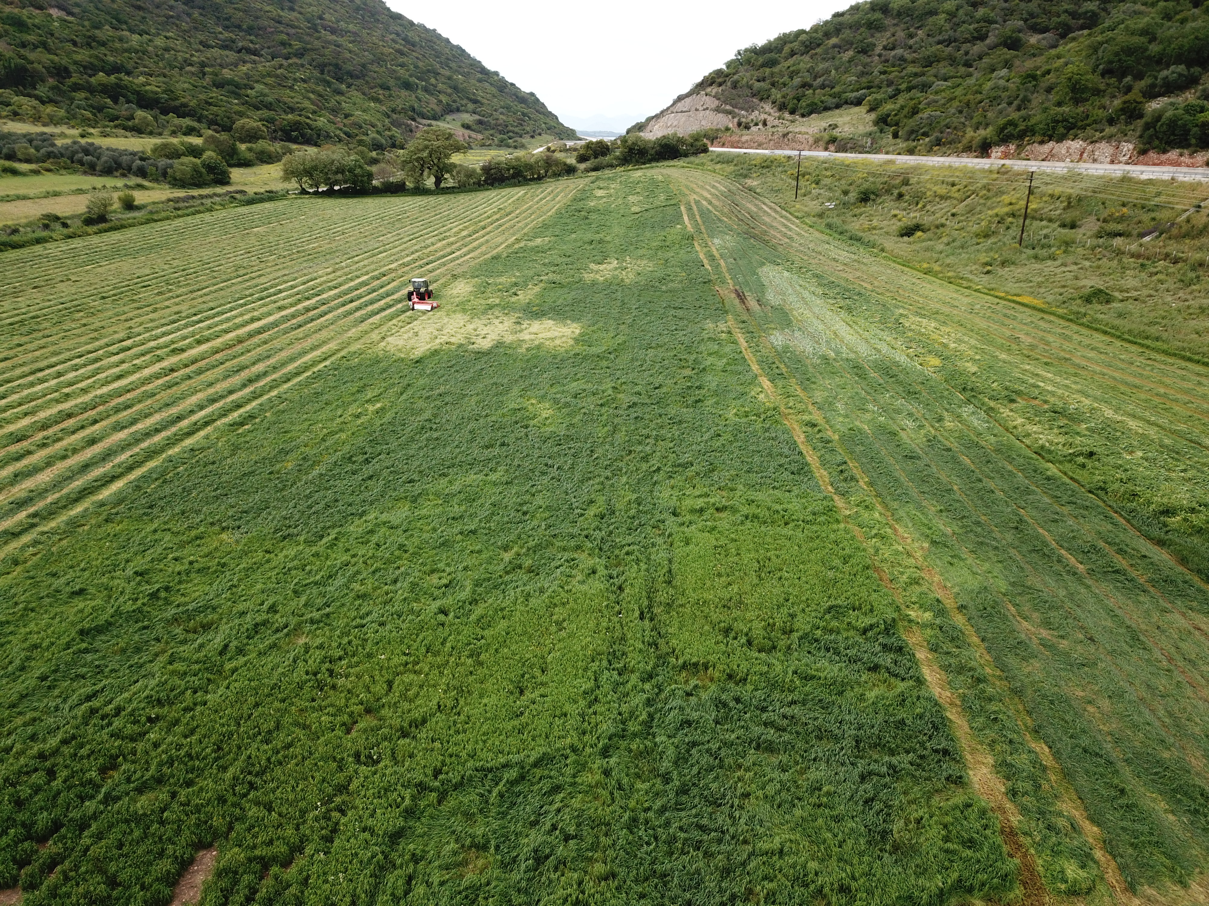 Tba Mhdikh Trakter (1)